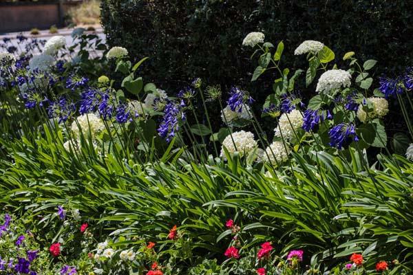 23 Bay Tree Lane, Los Altos CA: https://media.crmls.org/mediaz/f1bcb906-847c-42cc-b044-e204b8870438.jpg