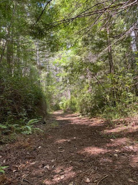 Details for 78020 Moody Road, , CA 95587