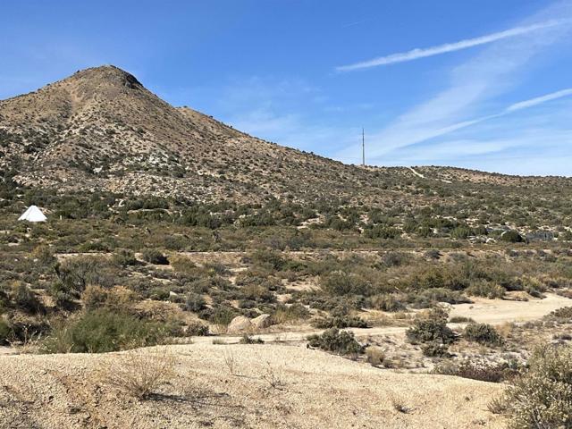 Image 5 of 6 For 0 Calexico  
