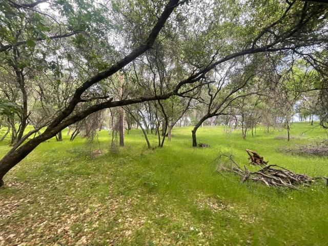 0 Avacado Road, Oroville CA: https://media.crmls.org/mediaz/f1c9d47f-0717-4789-acd6-5246f11fe092.jpg
