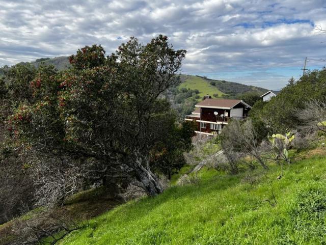 0 Alhambra Drive, Belmont CA: https://media.crmls.org/mediaz/f1d7258c-1693-41eb-8d8c-3c967a7b1e50.jpg