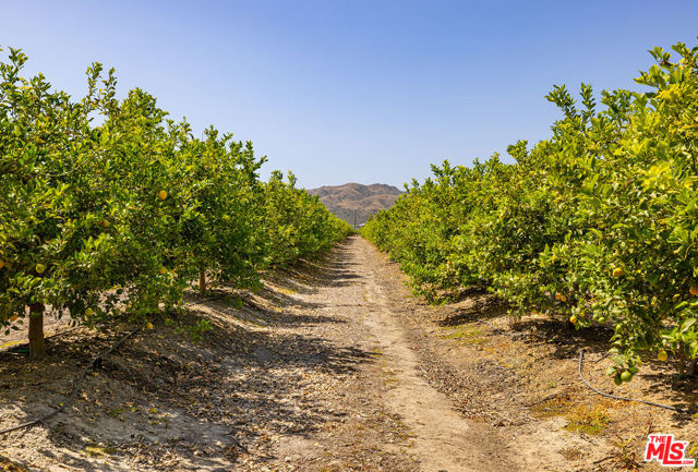 13721 W Telegraph Road, Santa Paula CA: https://media.crmls.org/mediaz/f1d8d0ed-1bfc-4710-8414-f644ea1b0dd3.jpg