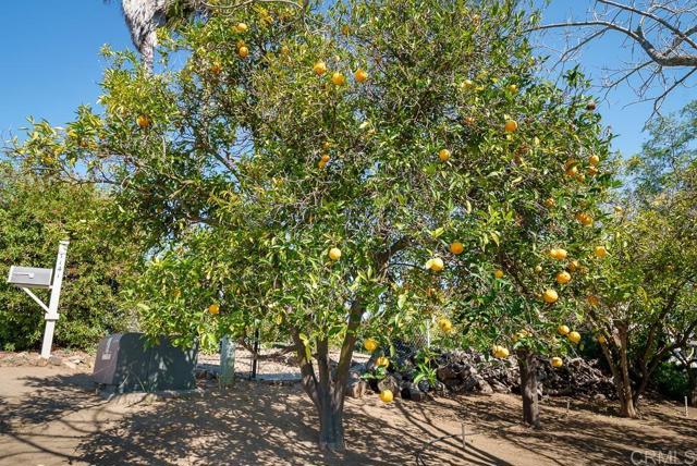 1139 Big Oak Ranch Rd., Fallbrook CA: https://media.crmls.org/mediaz/f1e18279-c744-415f-b559-24fd3da35ca0.jpg