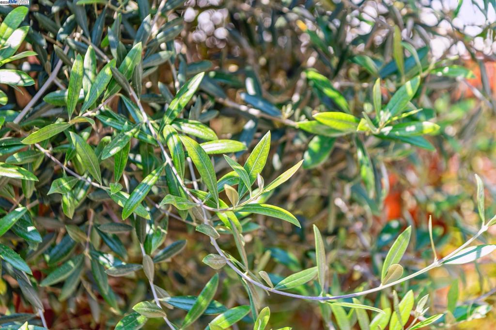 https://media.crmls.org/mediaz/f1ebc1b1-1cf1-4852-a710-8a46b568bb00.jpg?preset=X-Large