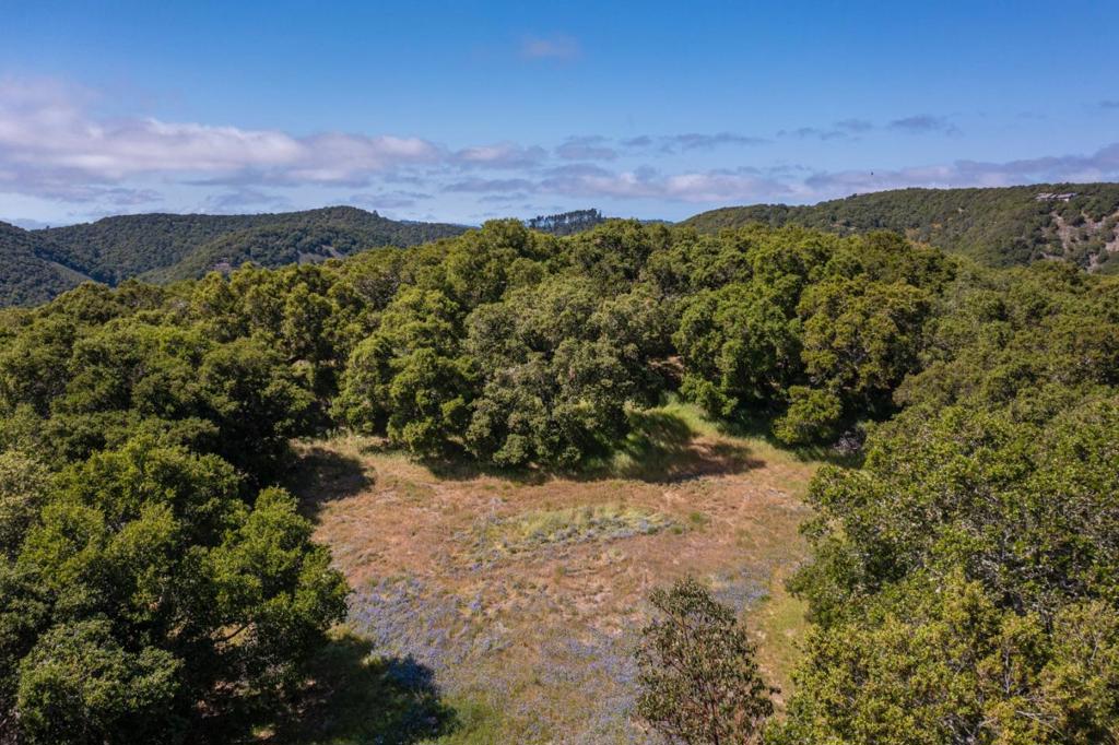 MLS #ML81977848 image #12