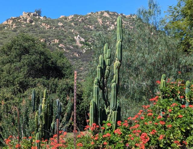 Detail Gallery Image 36 of 45 For 3333 Suncrest Bld, El Cajon,  CA 92021 - 5 Beds | 2 Baths