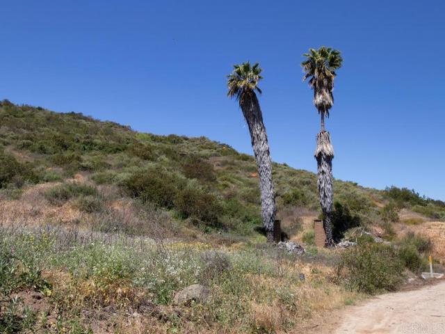 Detail Gallery Image 19 of 23 For 0 Camino Del Rey, Bonsall,  CA 92003 - – Beds | – Baths