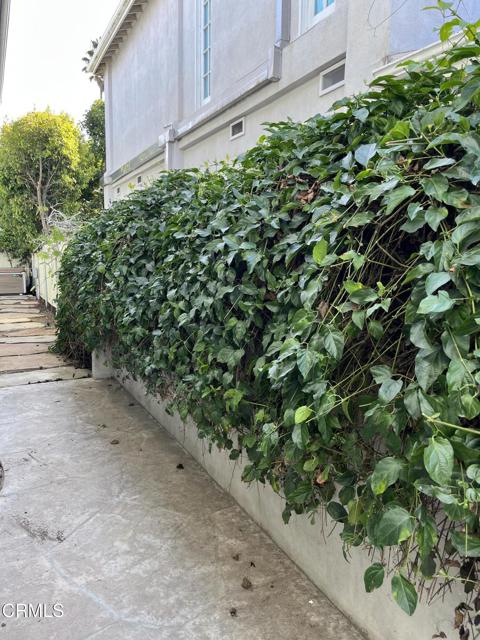 Detail Gallery Image 38 of 38 For 2827 Pierpont Bld, Ventura,  CA 93001 - 4 Beds | 4 Baths