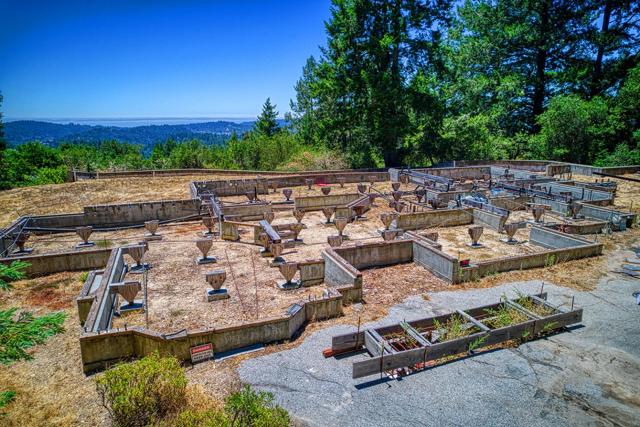 1374 Weston Ridge Road, Scotts Valley CA: https://media.crmls.org/mediaz/f20fa33e-9bce-49f2-9ac1-4a71e25d2c57.jpg