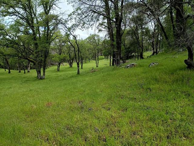 1119 Montauk Vista,  CA: https://media.crmls.org/mediaz/f21857d7-37d6-48ad-adbf-fbcad3cebacc.jpg