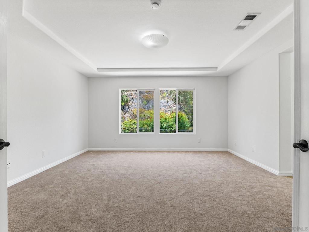 4308 Calle Mar De Ballenas - photo 18
