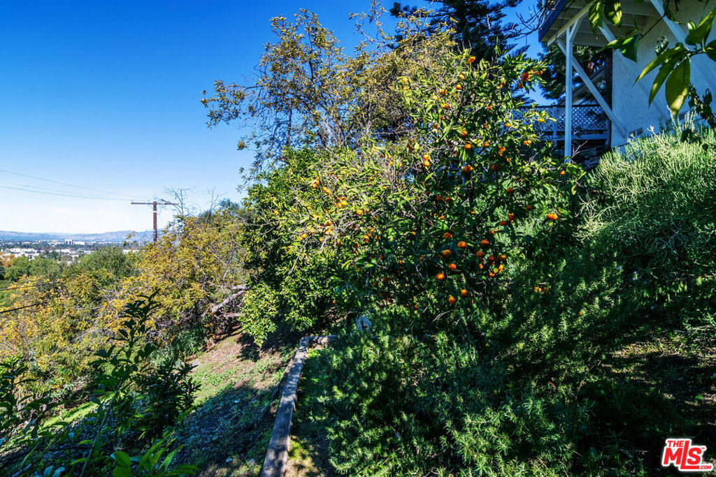 MLS #25623441 image #54