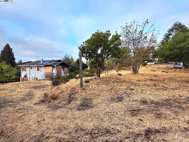 2315 Wayne St, Martinez CA: https://media.crmls.org/mediaz/f21f8418-4776-4e0e-9ab4-fa4e6b2a05fb.jpg