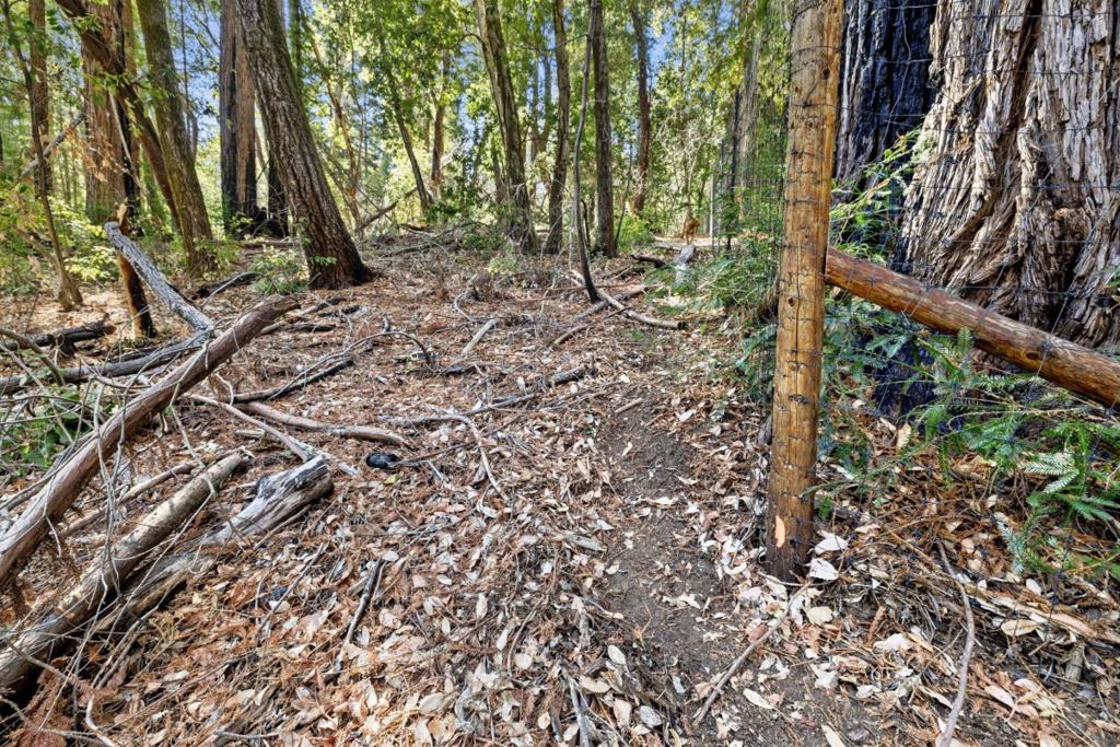 MLS #ML81986063 image #6