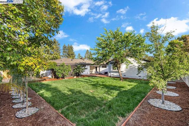4374 Emory Way, Livermore CA: https://media.crmls.org/mediaz/f23a12e6-6cc7-43df-97a2-c71e53765ace.jpg