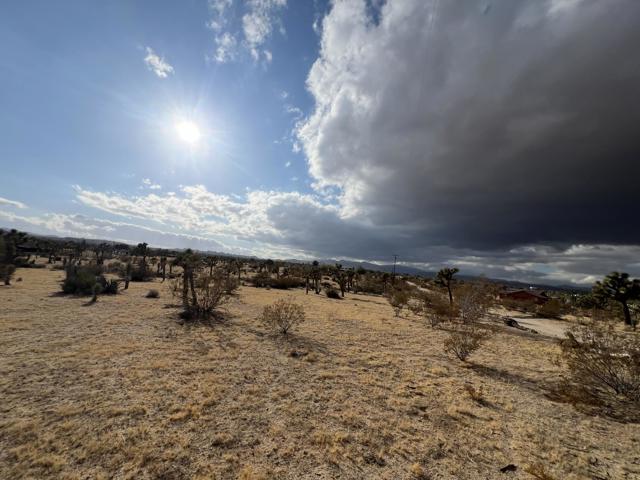 0 Campanula Street, Yucca Valley CA: https://media.crmls.org/mediaz/f24221a7-4b30-4417-b003-4671558070d5.jpg