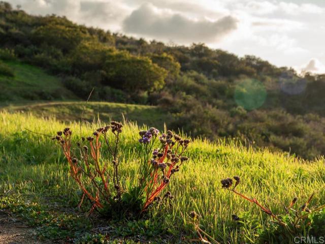 0 Chisholm Trail, Bonsall, California 92003, ,Land,For Sale,0 Chisholm Trail,CRNDP2400890