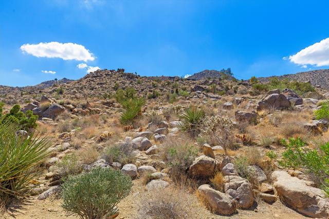 8744 Star Lane, Joshua Tree CA: https://media.crmls.org/mediaz/f24e16ef-928e-4c19-beb9-1fcef1e924e2.jpg