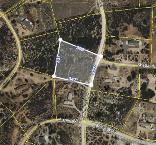 0 Saddleback Drive, Aguanga CA: https://media.crmls.org/mediaz/f251365f-c144-4e88-9239-849115b9e408.jpg