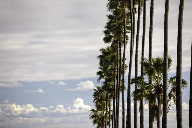 Detail Gallery Image 27 of 28 For 400 N the Strand #27,  Oceanside,  CA 92054 - 2 Beds | 2 Baths