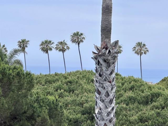 6455 La Jolla Blvd, La Jolla CA: https://media.crmls.org/mediaz/f25a0df6-0df1-4ab1-9785-91822044f1b9.jpg