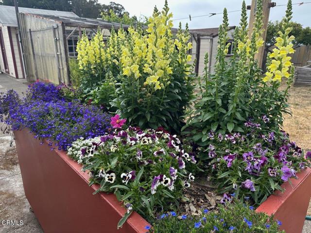 Detail Gallery Image 2 of 19 For 571 S Franklin St, Fort Bragg,  CA 95437 - 3 Beds | 2 Baths