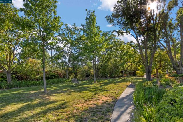 5435 Box R Ranch Rd, Vacaville CA: https://media.crmls.org/mediaz/f26158ac-cb47-4923-ad6d-517b502d6a94.jpg