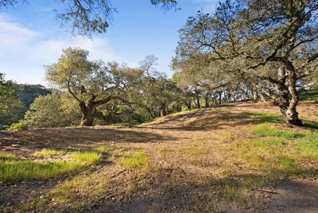 3533 Springhill Road, Lafayette CA: https://media.crmls.org/mediaz/f2649a1e-7c7e-427f-9fdd-86ff8bcd6454.jpg