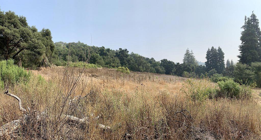 MLS #ML81810757 image #63