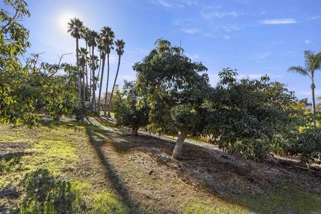 Detail Gallery Image 58 of 61 For 1520 via Rancho Pkwy, Escondido,  CA 92029 - 3 Beds | 3 Baths