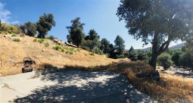 8079 Pine Ct, Pine Valley, California 91962, ,Land,For Sale,8079 Pine Ct,CRPTP2400183