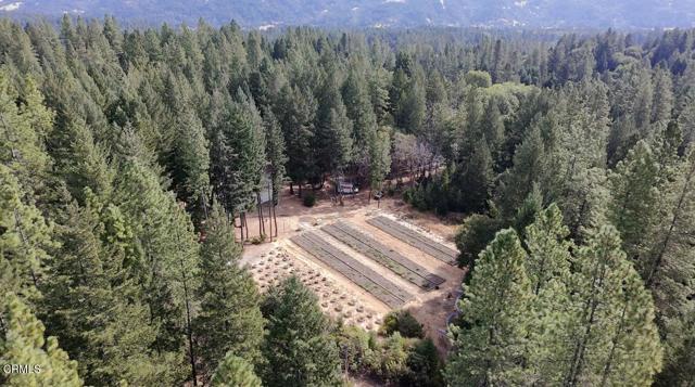 1605 Fitch Road, Laytonville CA: https://media.crmls.org/mediaz/f295afee-b1d7-46c0-9fc4-21e9f222207a.jpg