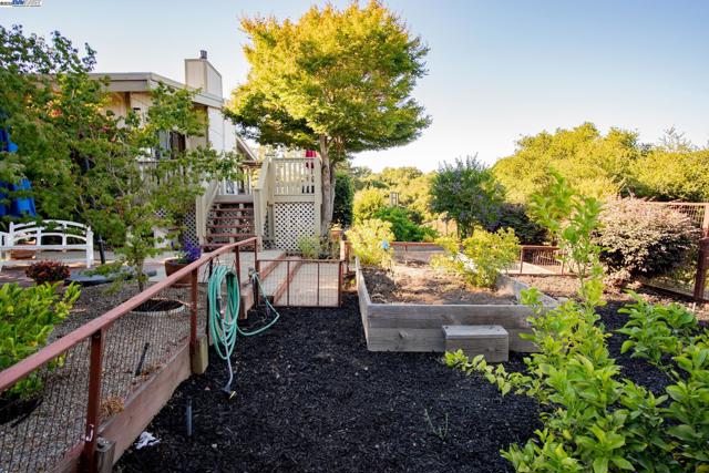 4732 Mira Vista Drive, Castro Valley CA: https://media.crmls.org/mediaz/f29d3c4c-474f-4f6f-96f6-6ee2dc1c29eb.jpg