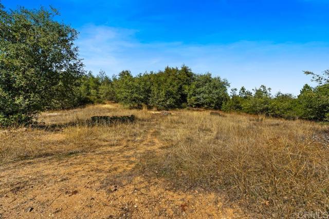 Detail Gallery Image 18 of 40 For 120 Ac Vacant Land Mesa Grande Rd, Santa Ysabel,  CA 92070 - – Beds | – Baths