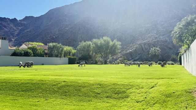 78471 Talking Rock Turn, La Quinta CA: https://media.crmls.org/mediaz/f29f842c-1f49-4c9d-9b17-11cffb794ca9.jpg