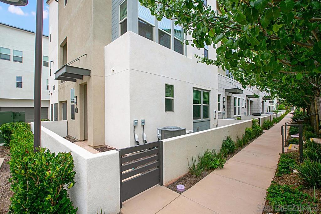 16755 Coyote Bush 89