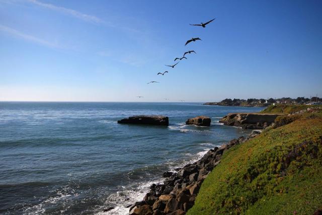 202 Panetta Avenue, Santa Cruz CA: https://media.crmls.org/mediaz/f2a79c7d-d9eb-4488-bb4c-f147c068daa8.jpg