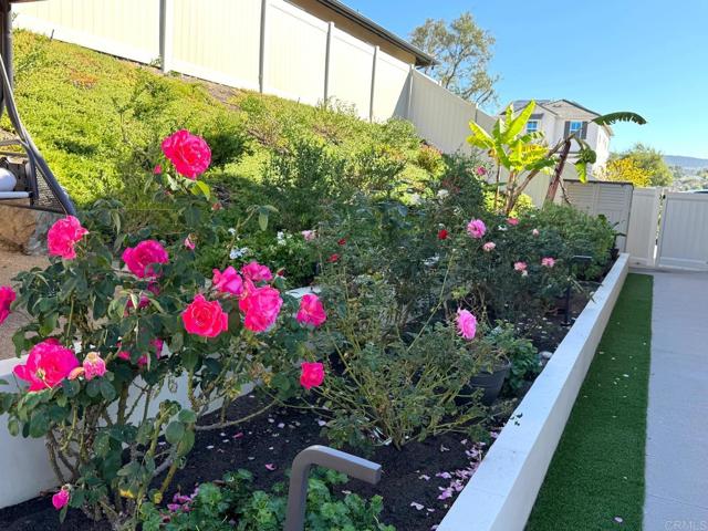 Detail Gallery Image 50 of 50 For 911 Lindbergh Dr, San Marcos,  CA 92069 - 4 Beds | 4/1 Baths