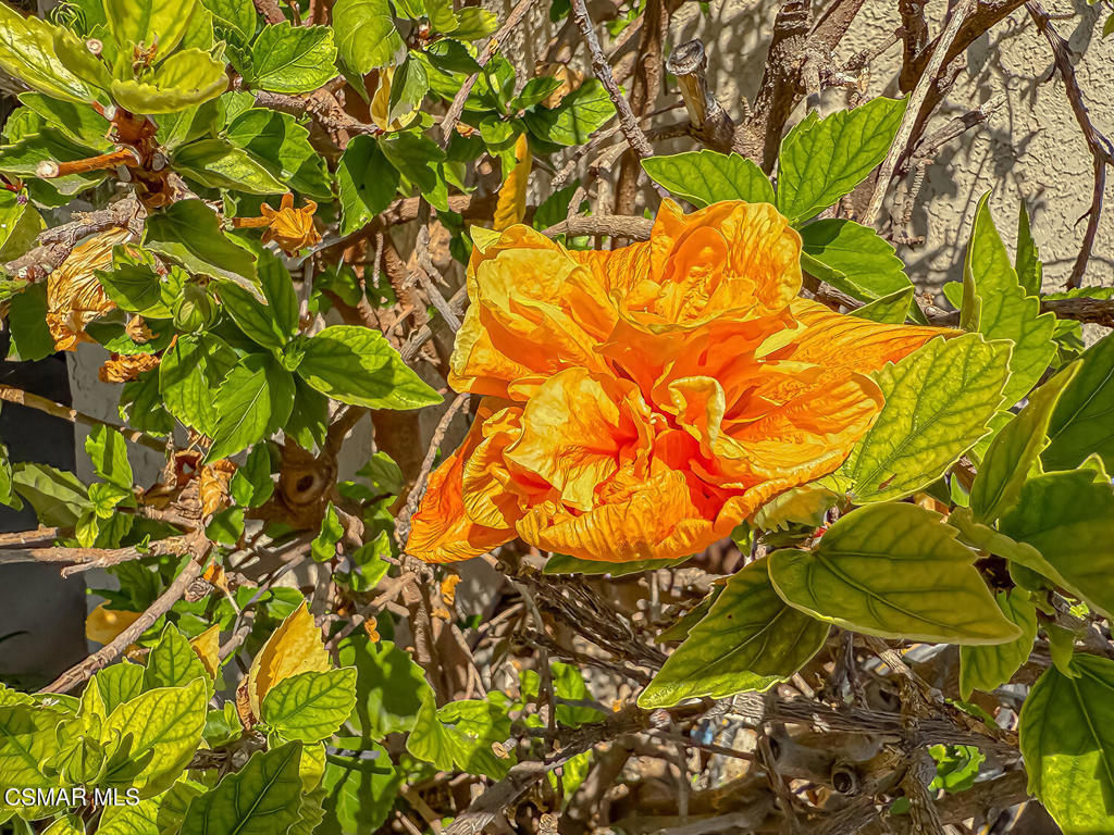 https://media.crmls.org/mediaz/f2c5286e-47e8-4682-a500-94f133121749.jpg?preset=X-Large
