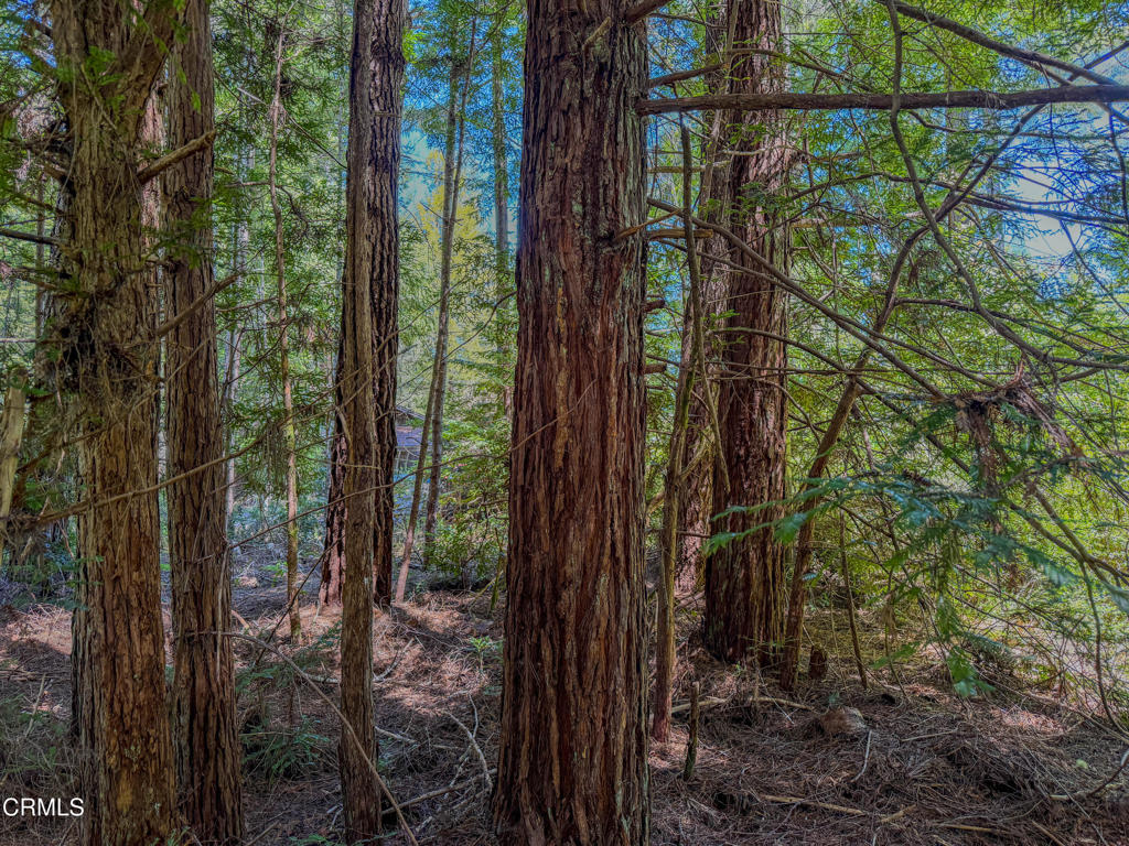https://media.crmls.org/mediaz/f2c7bfe7-9414-4b53-ae7c-26c2a318c76d.jpg?preset=X-Large
