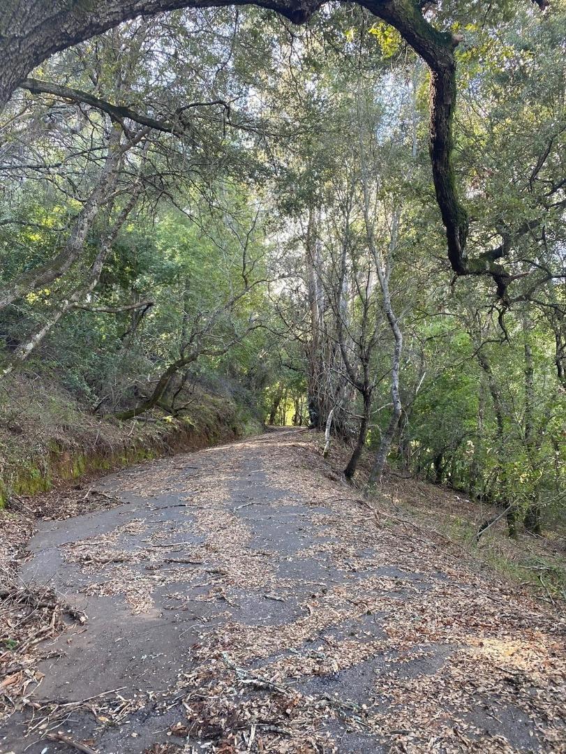 MLS #ML81915650 image #9