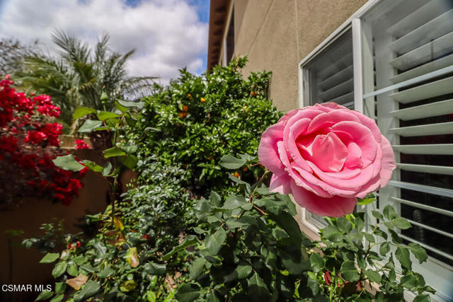 963 Corte Augusta, Camarillo CA: https://media.crmls.org/mediaz/f2ce00ff-d3ae-4460-955d-fe5ed615498d.jpg