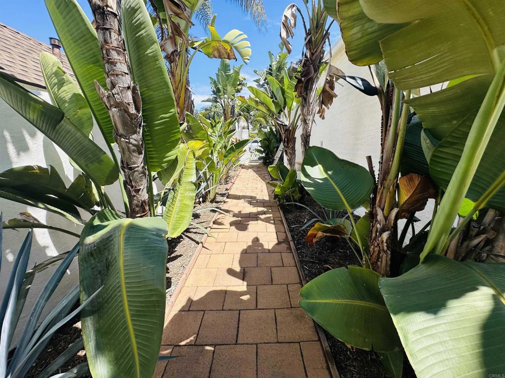 705 Ditmar - photo 2