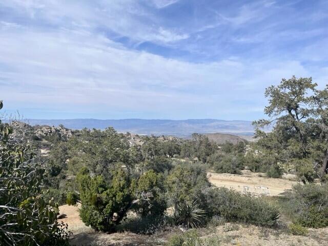 MLS# 219094071DA