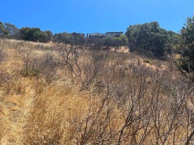 0 Alhambra Drive, Belmont CA: https://media.crmls.org/mediaz/f2e46552-c731-4d43-832c-f0f2c397d079.jpg