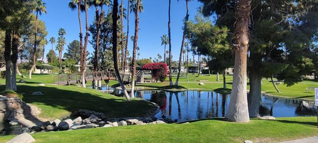 POND WITH FOOT BRIDGE