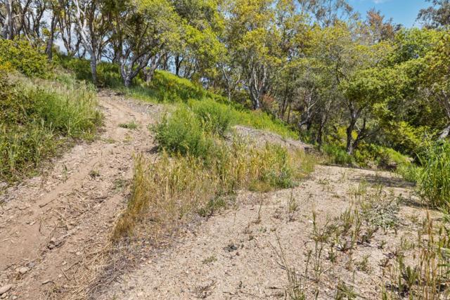 280 Petery Lane, Aptos CA: https://media.crmls.org/mediaz/f2ec0523-bb01-44db-8eea-2bc6baeeb497.jpg