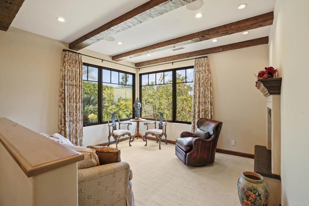 MLS #PTP2504023 image #49