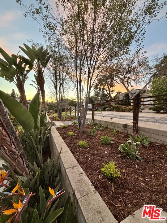 10336 Monte Mar Drive photo 54
