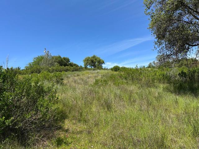 Image 7 of 19 For 0 El Caminito Road